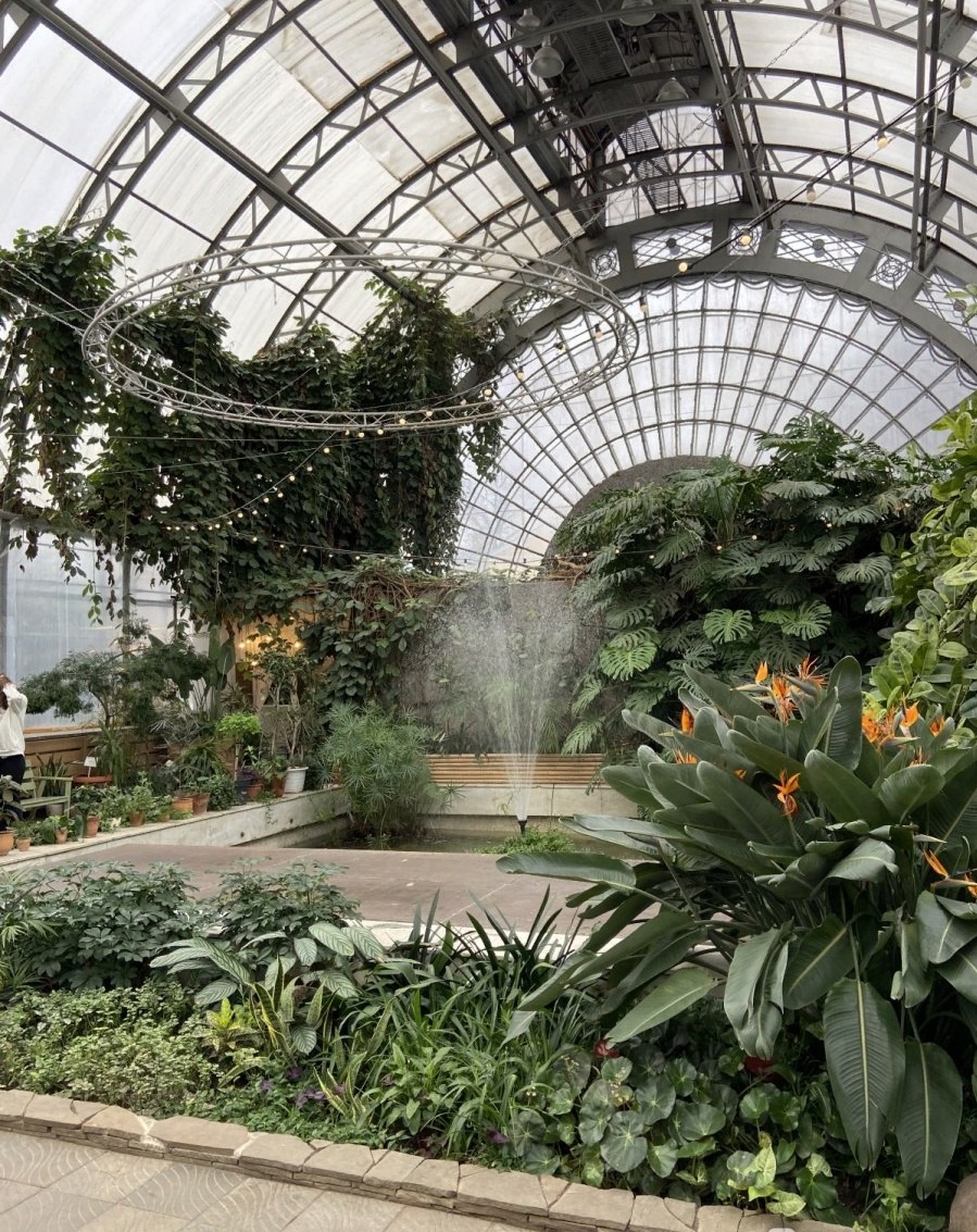выставка теплиц. оранжерея таврического сада. таврический сад питер оранжерея. ботанический сад аптекарский огород москва. питер пальмовая оранжерея.